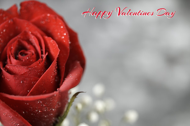 心和蜡图片下载