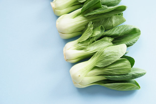 新鲜小白菜，亚洲卷心菜图片下载