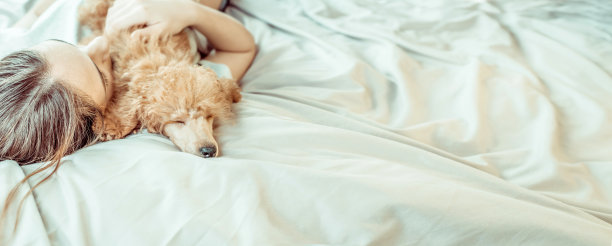 年轻女人和贵宾犬在床上睡觉素材图片