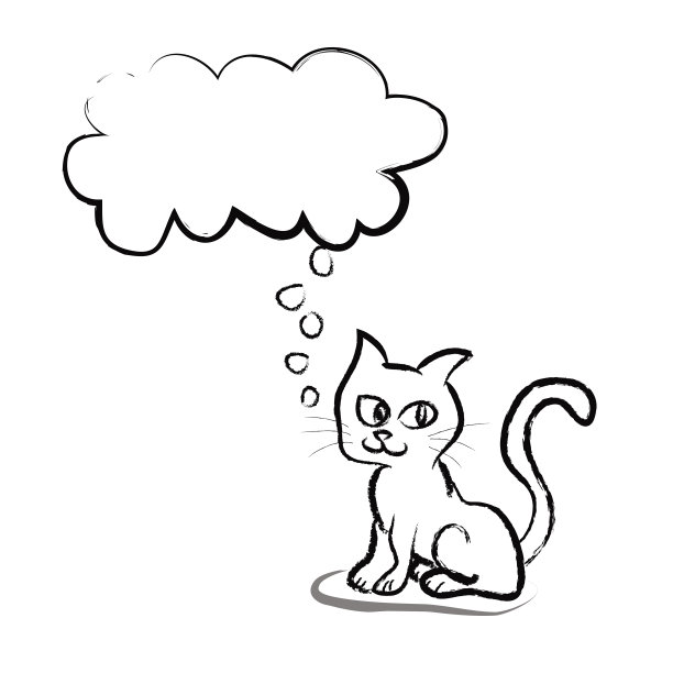 可爱的猫与对话泡在白色的背景图片下载