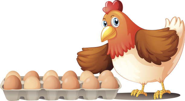 一打鸡蛋在一个托盘和母鸡图片下载