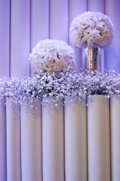 鲜花的背景图片下载