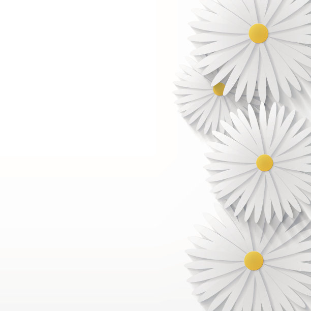 花洋甘菊背景图片下载