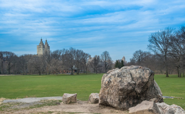 绵羊草地，纽约海滩，中央公园图片下载