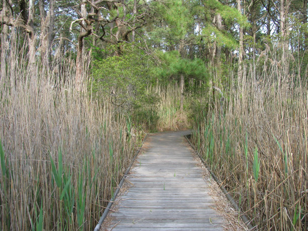 木板路上图片下载