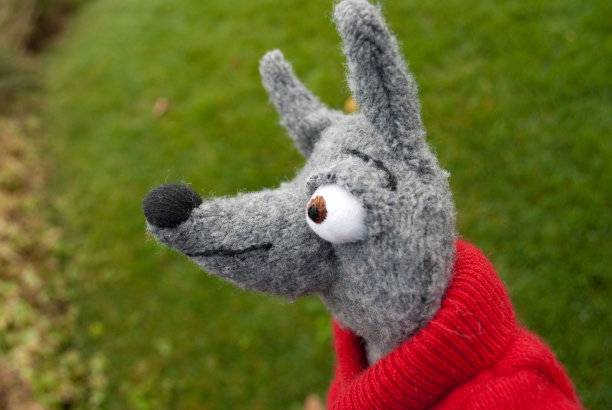 大灰狼在看图片下载