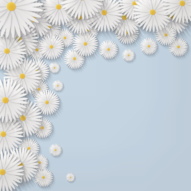 花洋甘菊背景图片下载