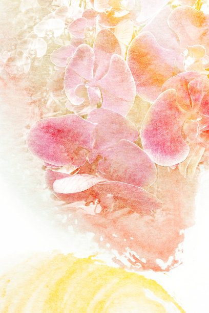 花水彩插图。图片下载