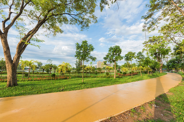 黄色轨道在绿色公园景观图片下载