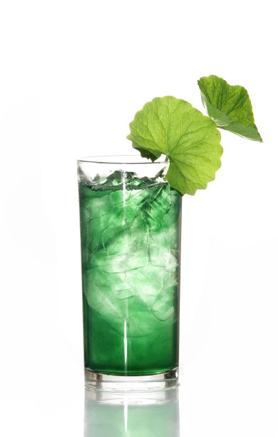 白色背景上的一便士草。图片下载