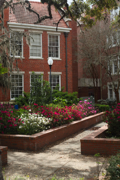 佛罗里达大学格里芬-弗洛伊德大厅图片下载