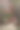佛罗里达大学格里芬-弗洛伊德大厅图片下载