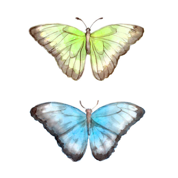神奇的水彩蝴蝶图片下载
