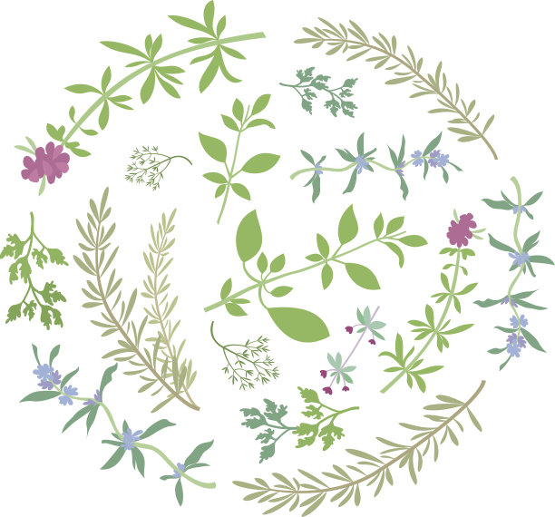 圆形组成与芳香的草药图片下载