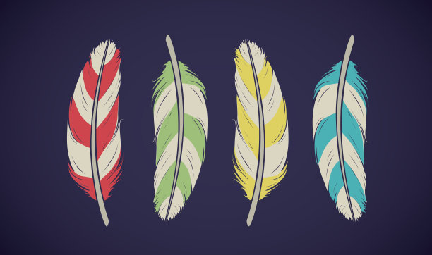向量彩色羽毛集。民族鸟集合。图片下载