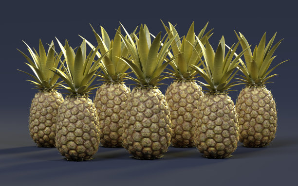 菠萝图片下载