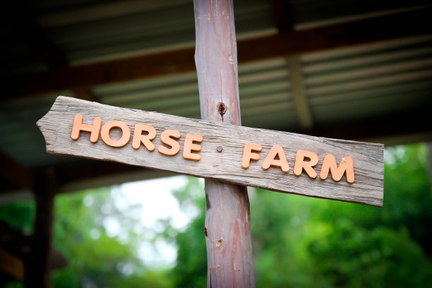 马场的迹象图片下载