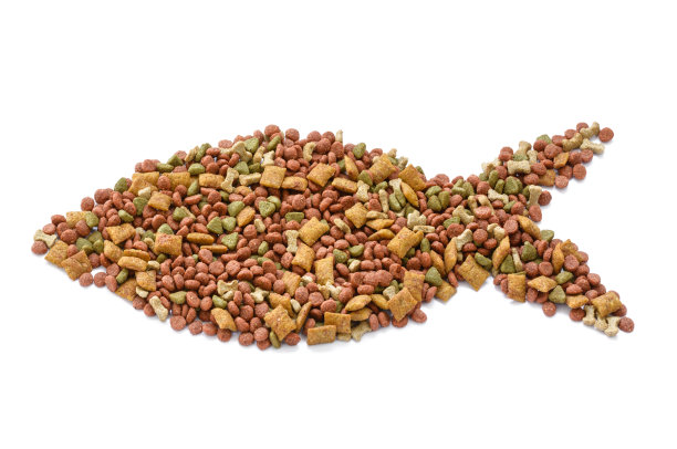 狗粮在白色孤立的背景图片下载