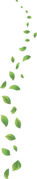 叶子漩涡图片下载