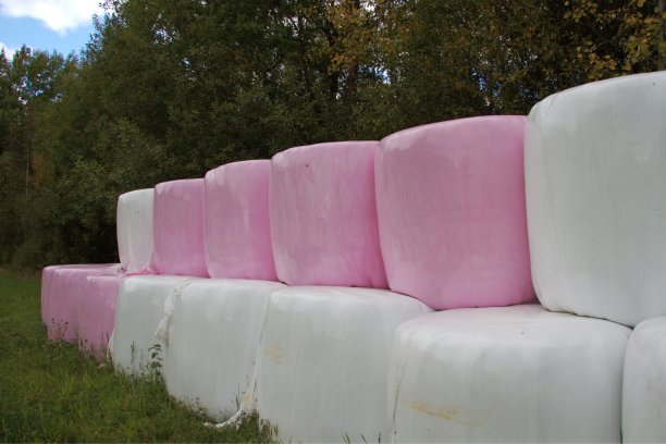 粉红色的包图片下载