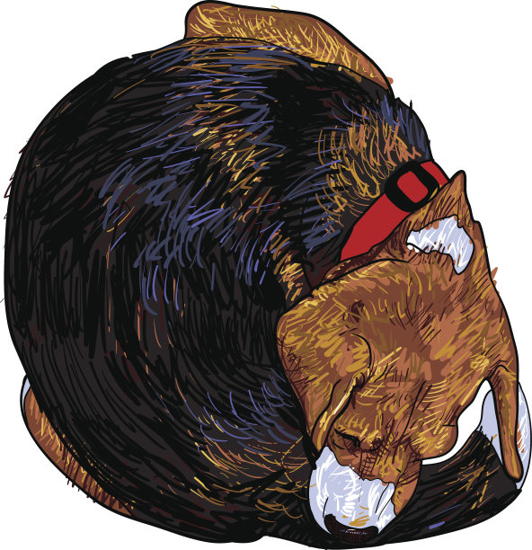 发痒的小猎犬图片下载