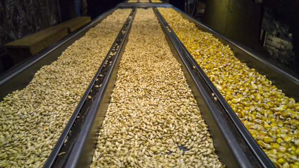 玉米，麦芽和未麦芽图片下载