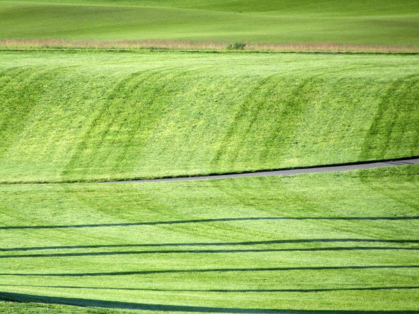 绿色新鲜割草模式图片下载