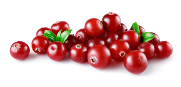 蔓越莓。一堆孤立在白色背景上的叶子的浆果。全景深。图片下载