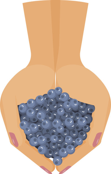 蓝莓在手边图片下载