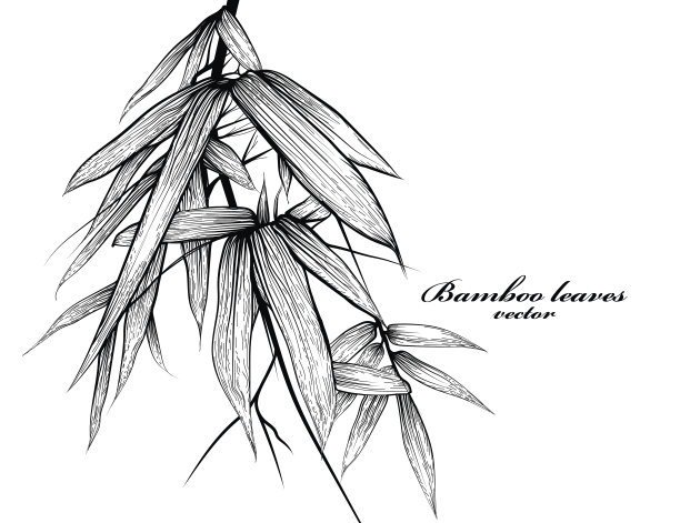 竹叶的场景图片下载