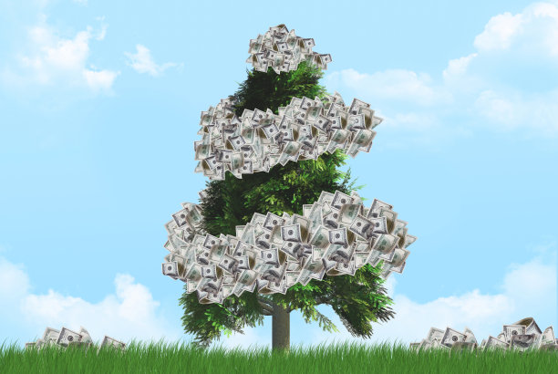 生态与美元钞票图片下载