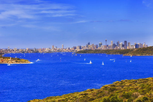 NHead CBD头日90mm图片下载