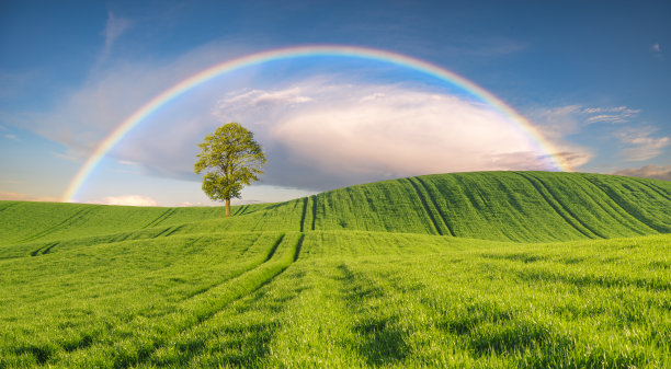 春日绿野上的彩虹素材图片