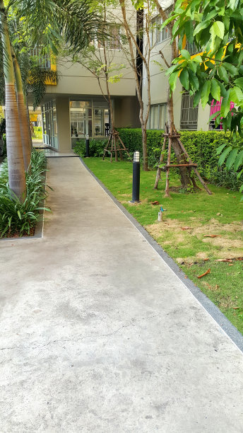 商业户外空间人行道景观，步行路径和植物图片下载