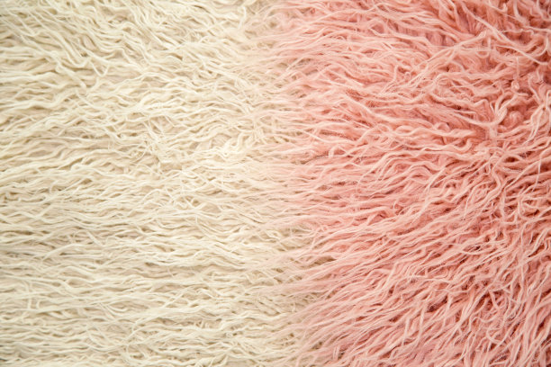 长着白色和橙色的小毛皮图片下载