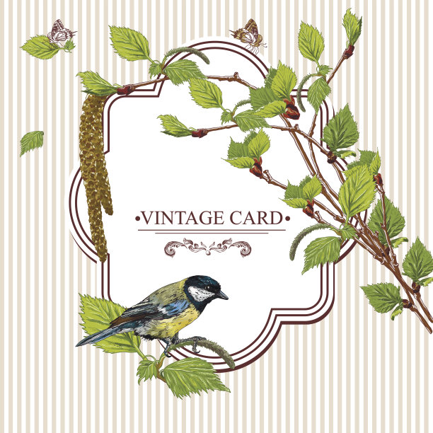 复古卡片与桦树枝和鸟山雀图片下载