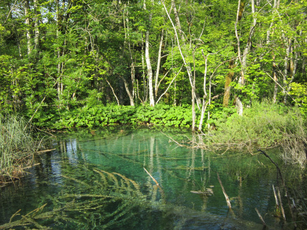 普利特维奇卡湖克罗地亚湖图片下载