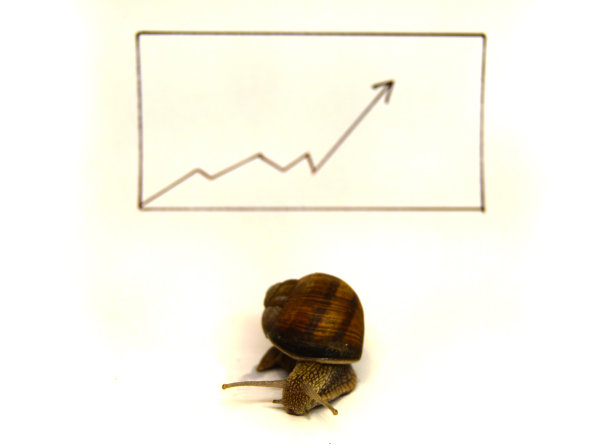 业务发展缓慢。业务、收入增长缓慢图片下载