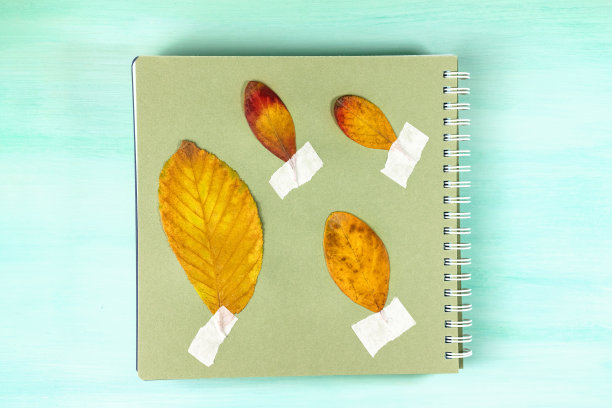 植物标本馆照片，以蓝绿色为背景图片下载