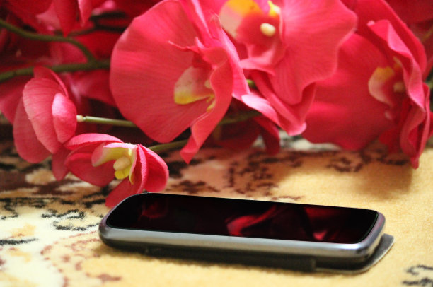 情人节的智能手机图片下载