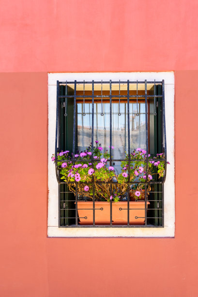 粉红色墙壁上的窗户图片下载