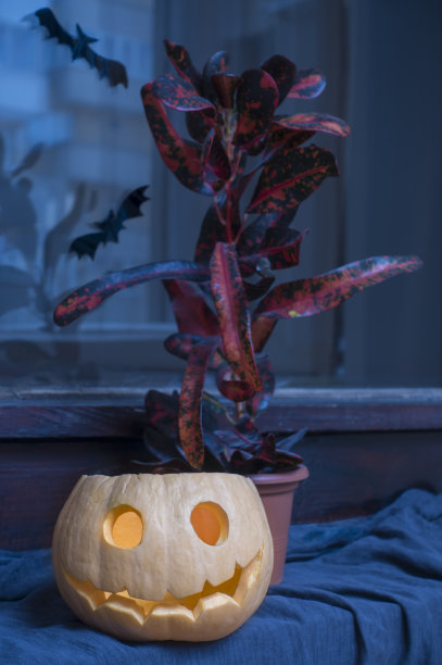 万圣节南瓜灯南瓜图片下载