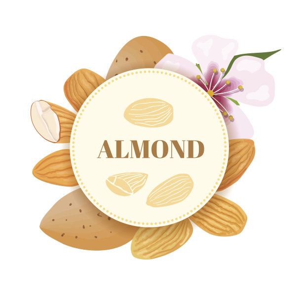 杏仁。用花剥去果皮的坚果。带有文本的圆形徽章图片下载