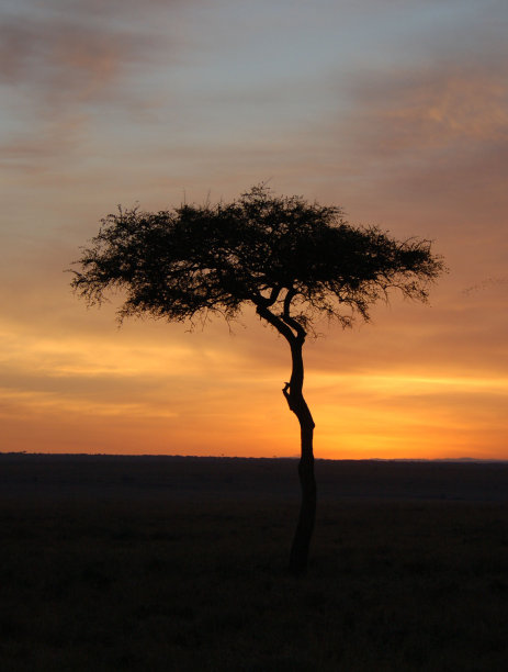非洲日落图片下载