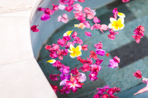 池水清澈，水面铺着不同颜色的花。多色背景图片下载