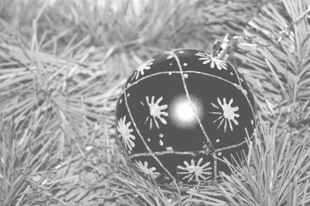 黑白圣诞舞会图片下载