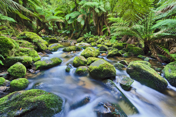 哥伦巴溪小溪水平图片下载