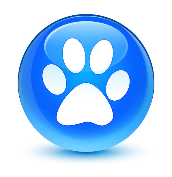 动物足迹图标玻璃蓝绿色圆形按钮图片下载