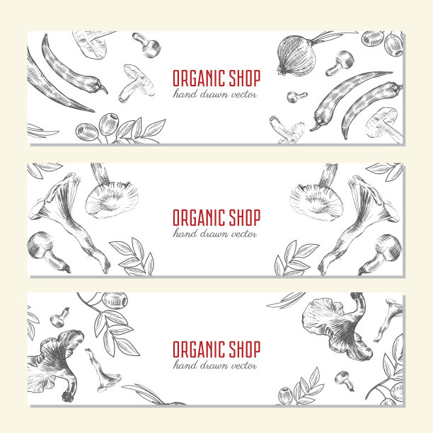 手绘蔬菜速写横幅，矢量插图蘑菇，橄榄，辣椒，洋葱孤立上白，理想使用在有机食品行业，健康绿色食品市场，素食餐厅菜单图片下载