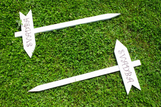 白色木箭上写着“Svadba”(斯洛伐克语的“婚礼”)字样，躺在绿色的草地上图片下载